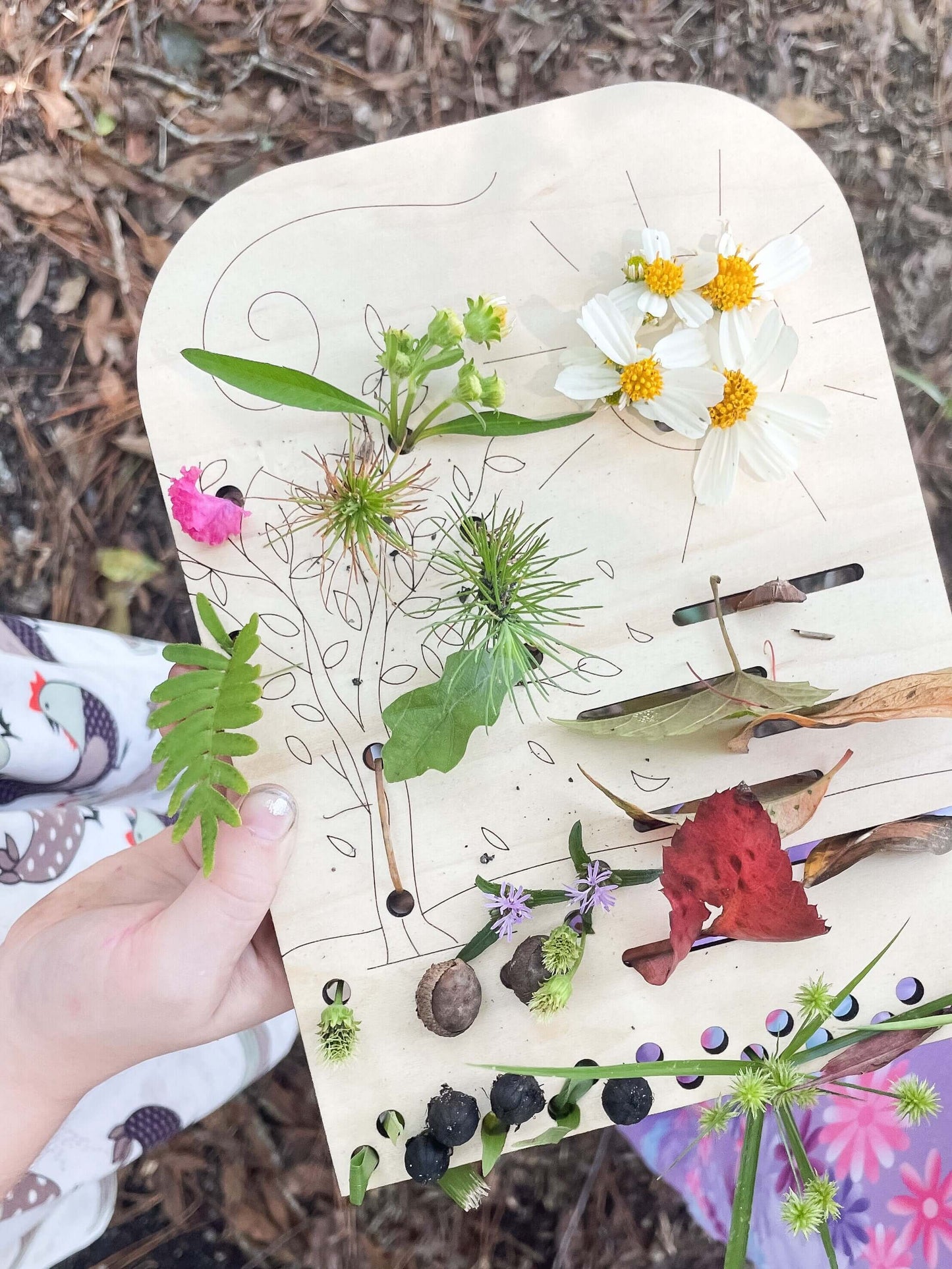 Flower + Leaf Collector Boards